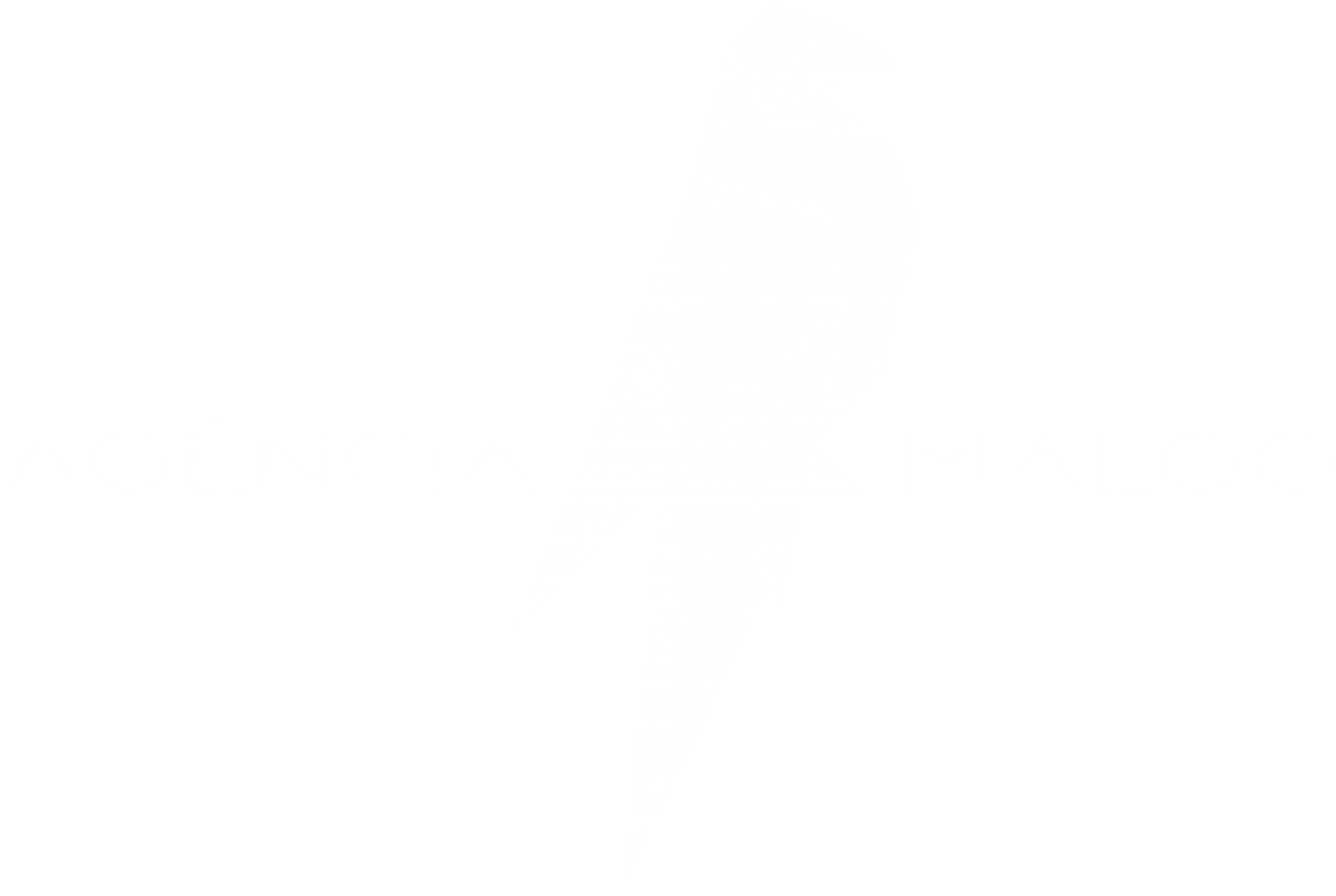 Empresa desenvolvedora